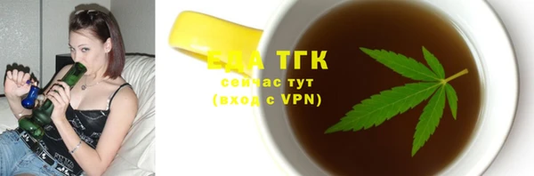 мдпв Заводоуковск