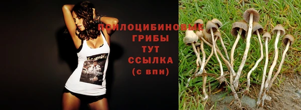 ALPHA-PVP Зерноград