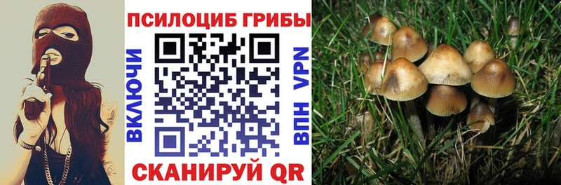 Галлюциногенные грибы GOLDEN TEACHER  Кореновск 